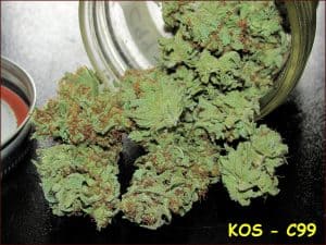 kos-c99