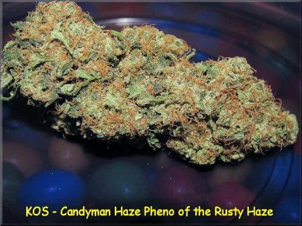 KOS - Candyman Haze