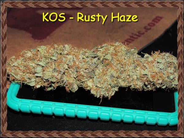 KOS - Rusty Haze